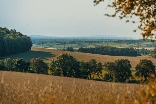 Gratis stockfoto met bomen, landbouw, landelijk