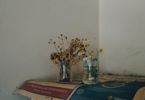 Foto stok gratis bejana, bunga-bunga, dekorasi
