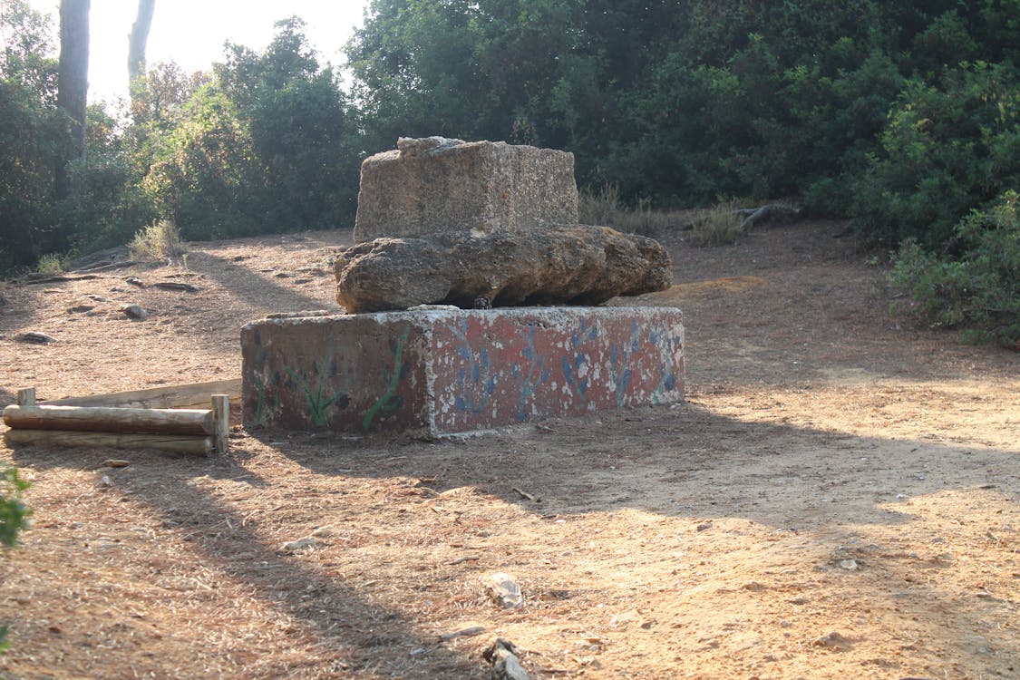 patio del pozo en el parque de las Canteras