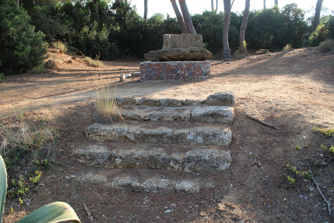 patio del pozo en el parque de las Canteras