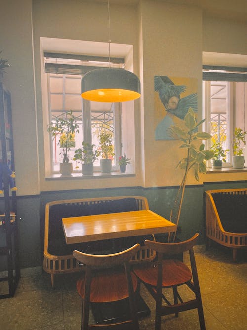 Бесплатное стоковое фото с Бар-кафе, интерьер кафе, кафе