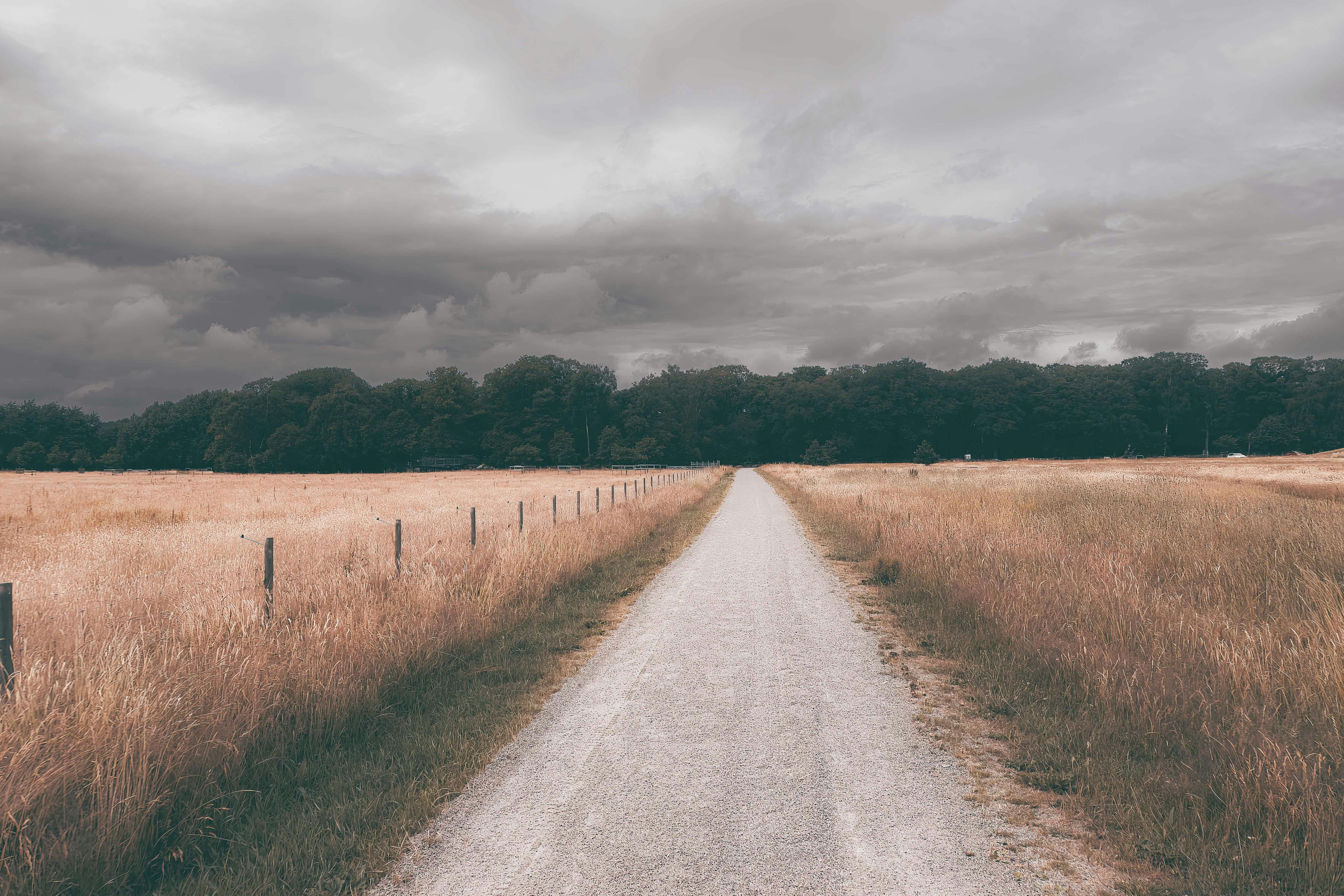 cloudy countryside