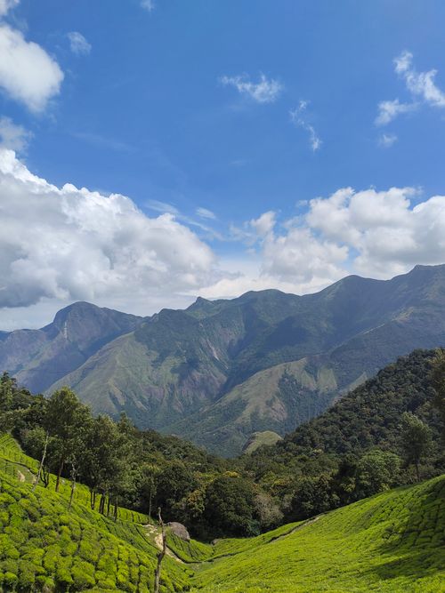 Top Station Munnar viewpoint