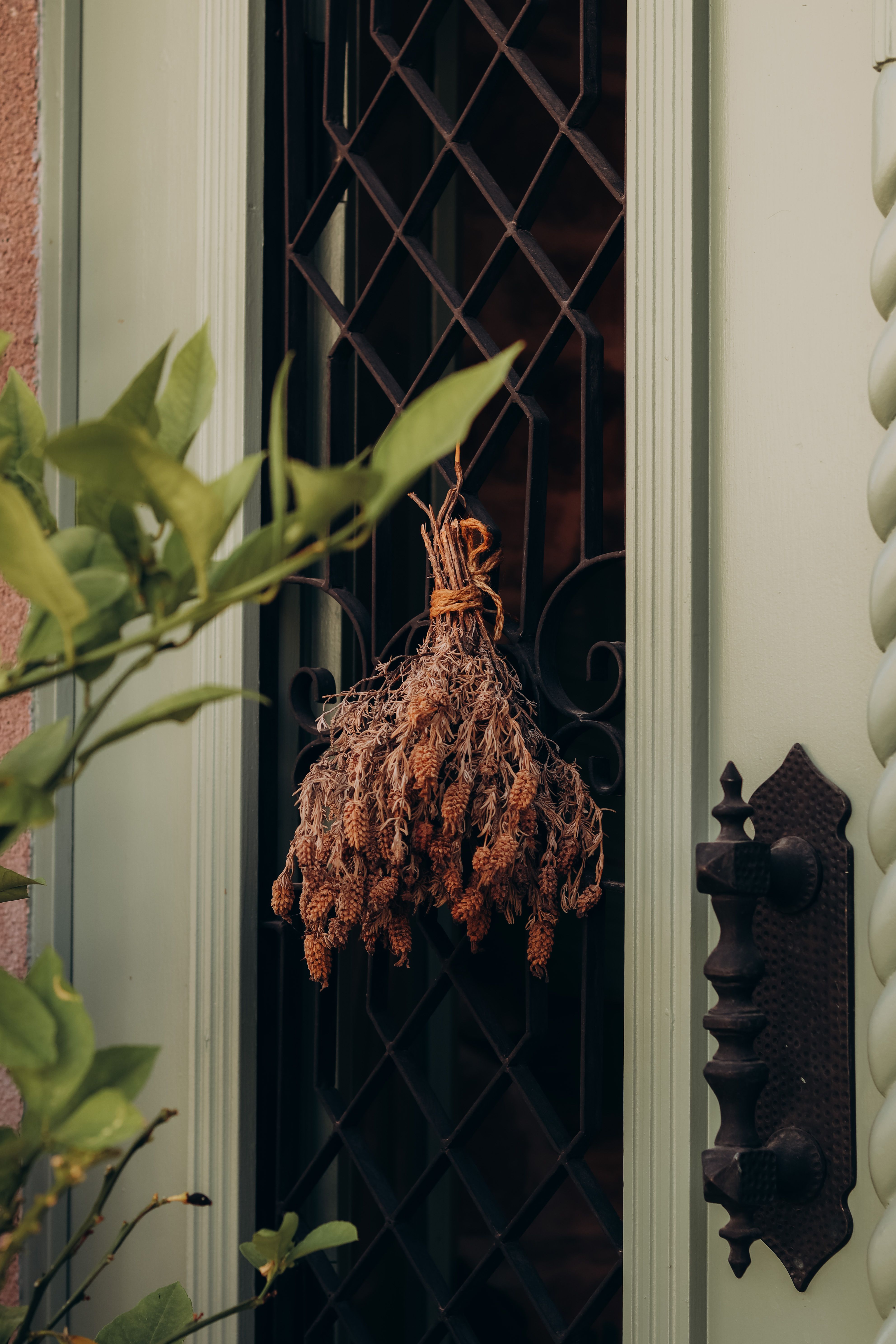 A decorative dried plant bundle hangs on a traditional Turkish door. Captured in Balıkesir, Türkiye.