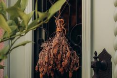 A decorative dried plant bundle hangs on a traditional Turkish door. Captured in Balıkesir, Türkiye.