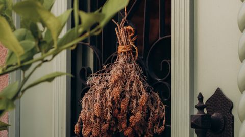 A decorative dried plant bundle hangs on a traditional Turkish door. Captured in Balıkesir, Türkiye.