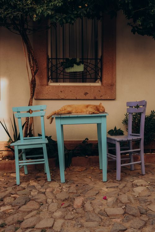 Free Peaceful scene of a cat sleeping on a colorful table in a rustic courtyard in Balıkesir, Türkiye. Stock Photo