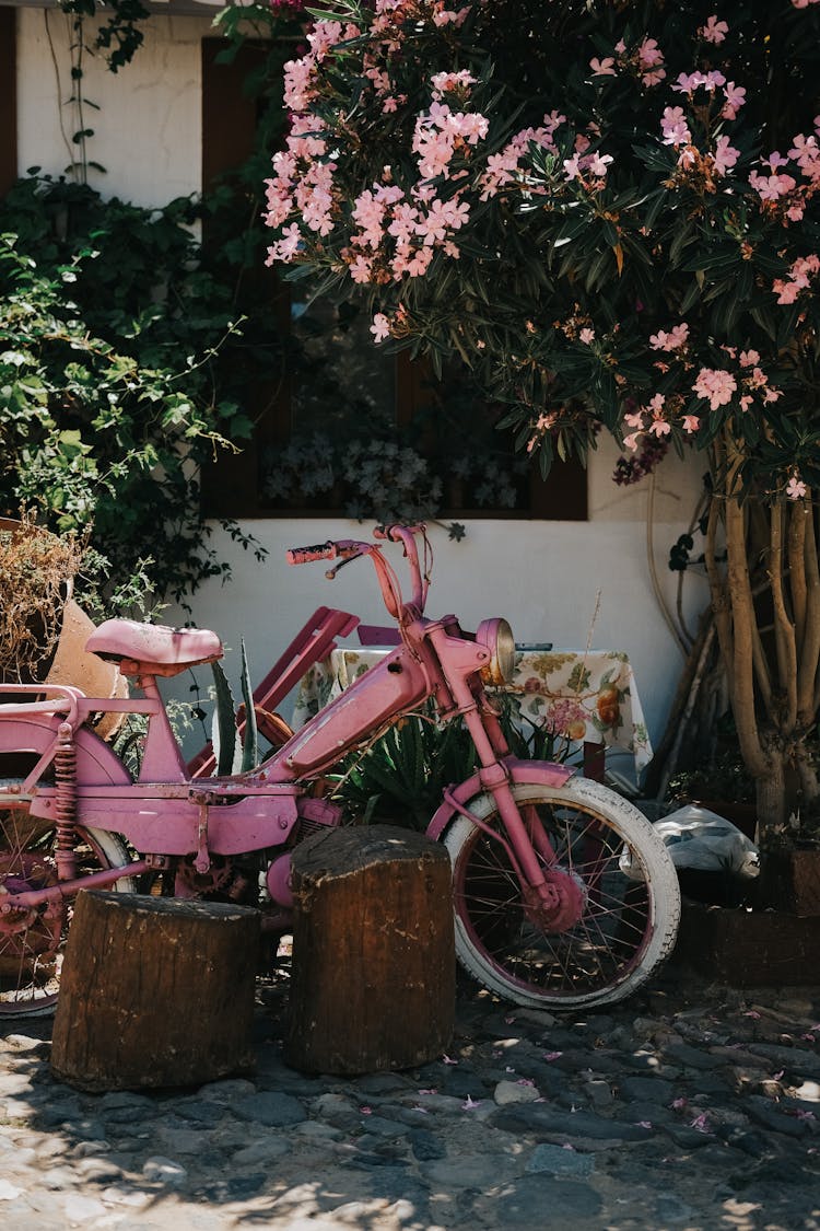 Pink Motorcycle In A Garden 