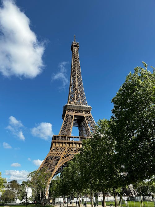 Free Eiffel Tower in City Garden against Blue Sky Stock Photo