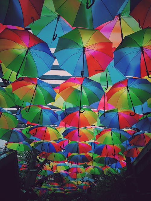 Free stock photo of rain drops, umbrellas