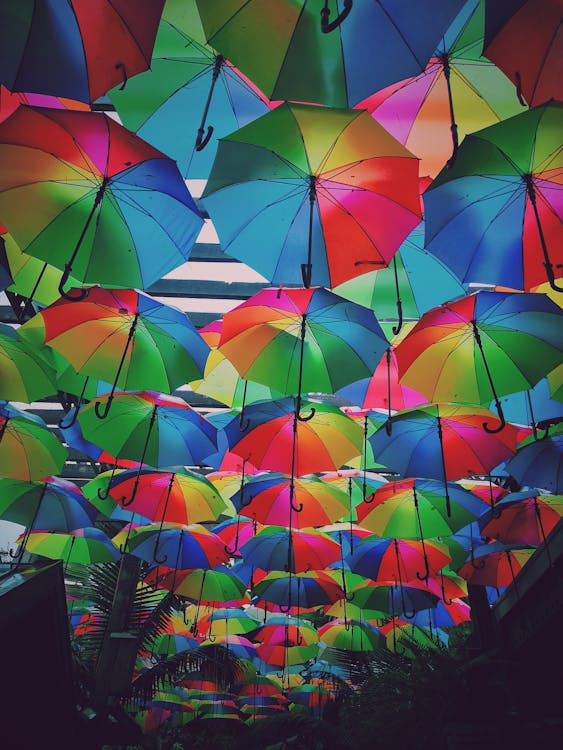 Free stock photo of rain drops, umbrellas Stock Photo