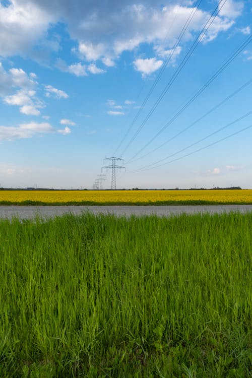 Darmowe zdjęcie z galerii z boiska, droga, linie energetyczne