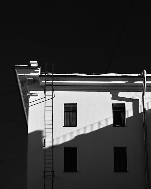 Darmowe zdjęcie z galerii z budynek, czarno-biały, drabina