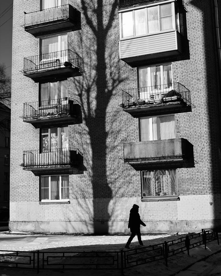 Tree Shadow On Building Wall