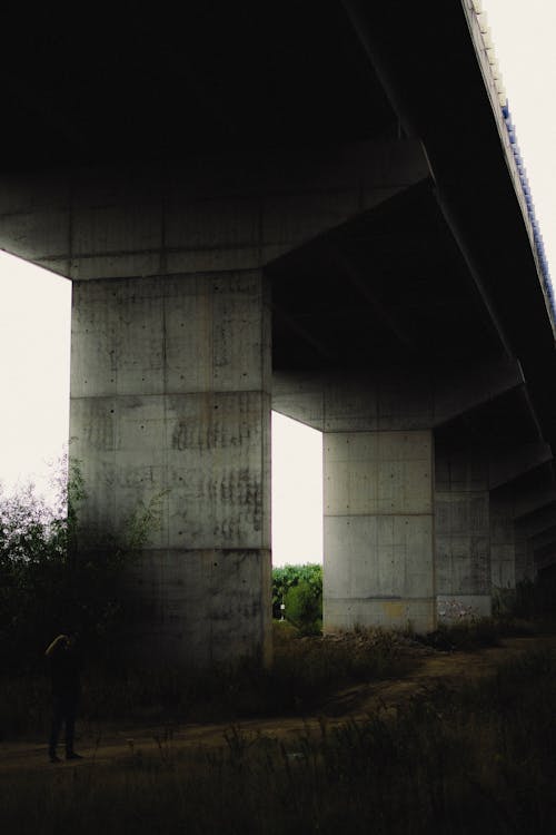 Pillars of Bridge