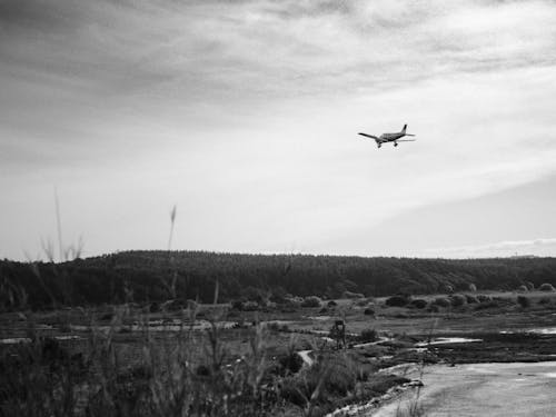 Airplane Flying over Forest in Black and White