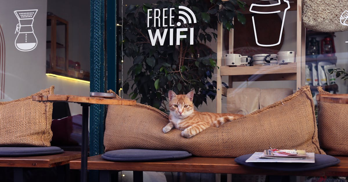 ¿Por qué la adopción de Wi-Fi 7 cambia la planificación de redes empresariales? ¿Por qué la adopción de Wi-Fi 7 cambia la planificación de redes empresariales?