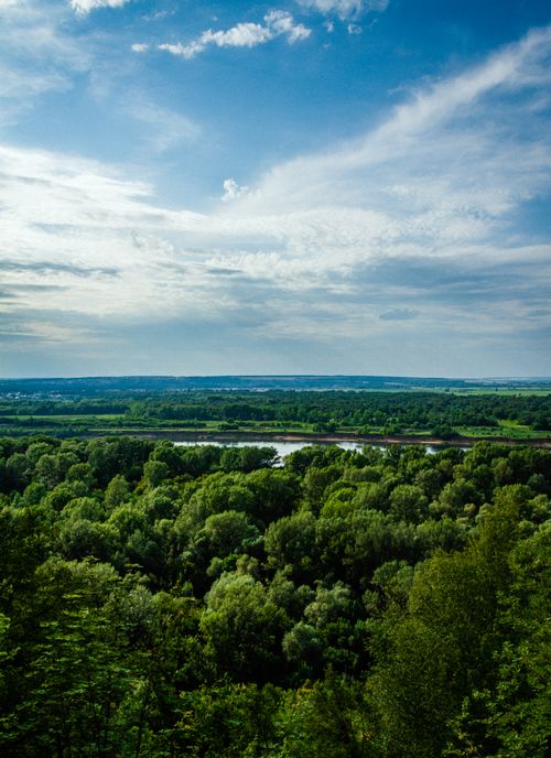 Free A vibrant aerial view of a dense forest and river under a blue sky. Stock Photo