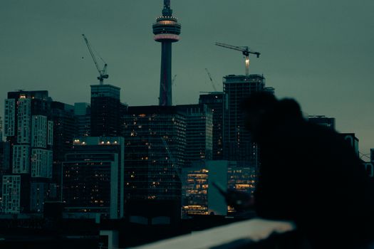 Silhouette of a man against the Toronto skyline featuring the CN Tower under twilight.