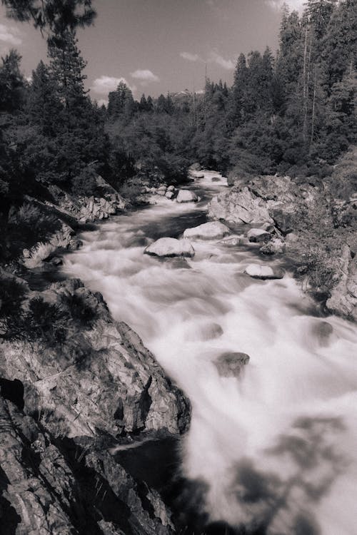 Cascades on Stream in Forest