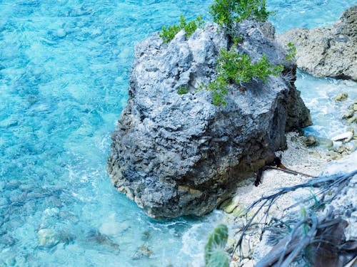 Fotos de stock gratuitas de agua, línea costera, mar