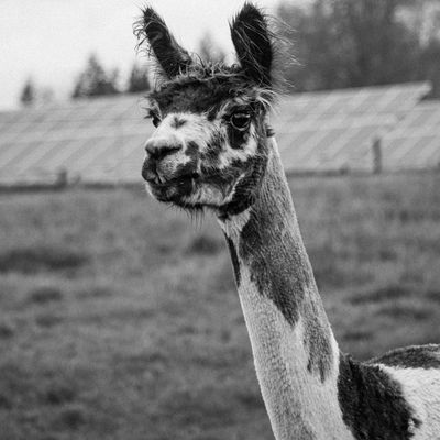 Jon Champaigne on Pexels