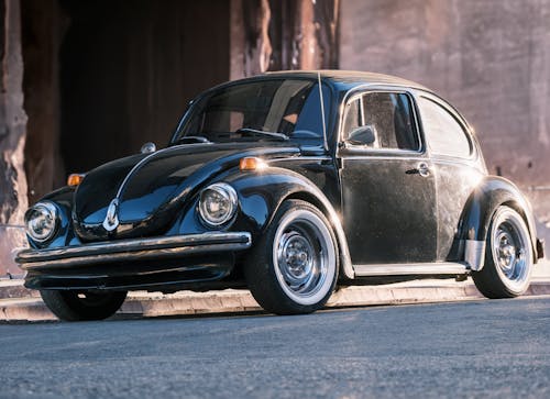 Foto stok gratis beetle, hitam, kertas dinding