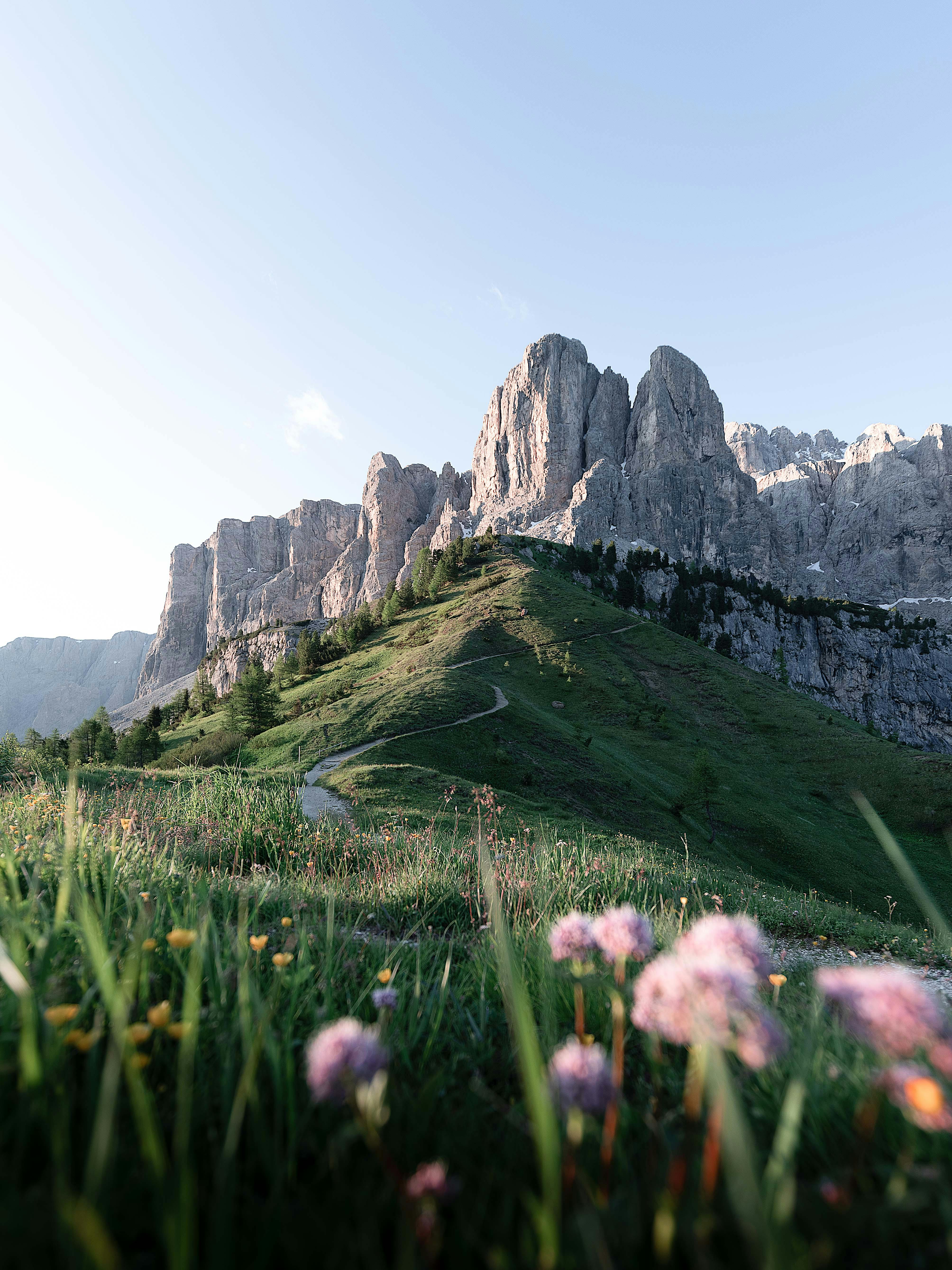 Breathtaking view of rugged mountains and vibrant wildflowers under clear blue skies.