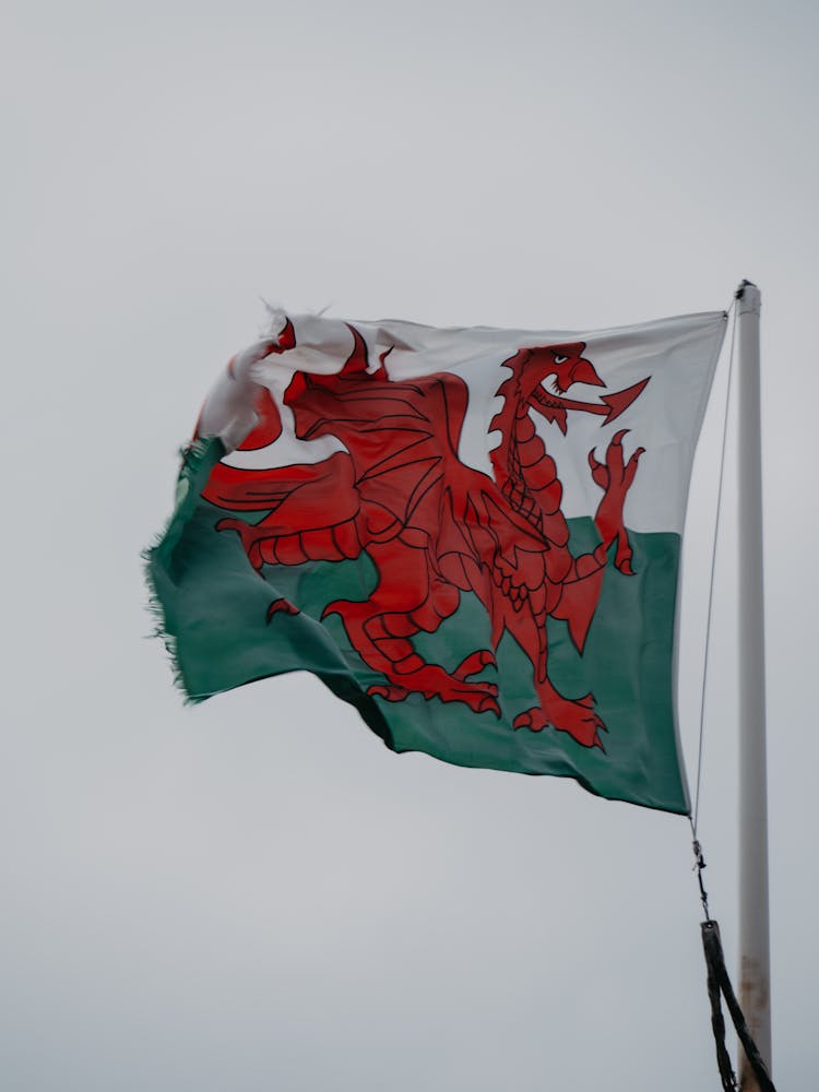 Close Up Of Welsh Flag