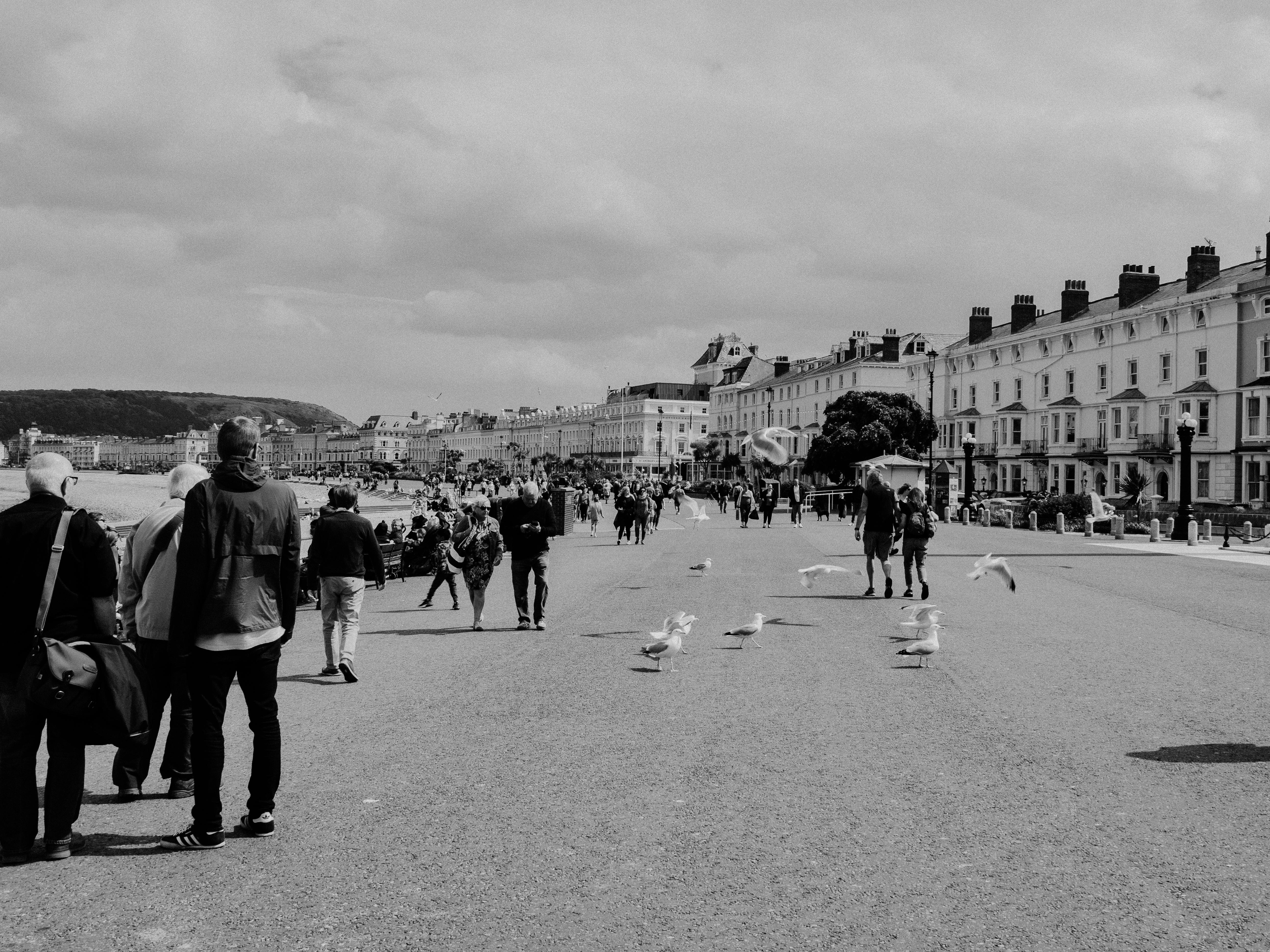 Classic black and white photo of people walking along Llandudno promenade, capturing the essence of urban life in Wales.