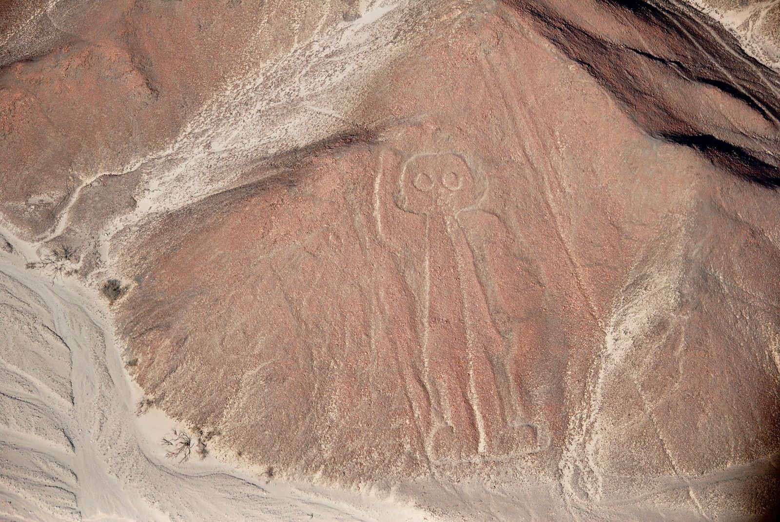 Nazca Photos, Download The BEST Free Nazca Stock Photos & HD Images