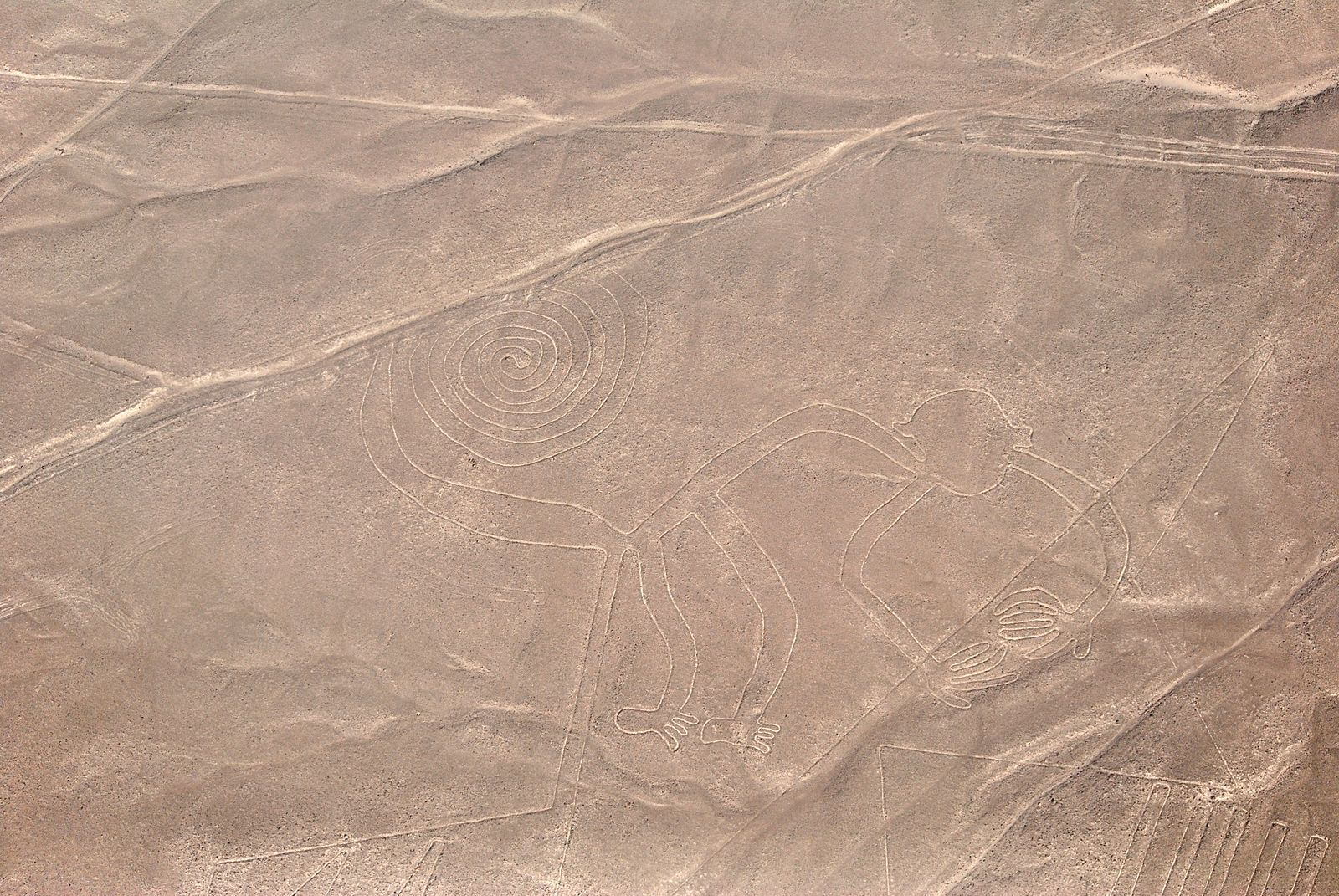 Nazca Rocks Close up of Nazca Lines on Rock · Free Stock Photo