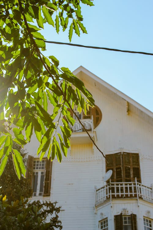 White Building Wall behind Leaves