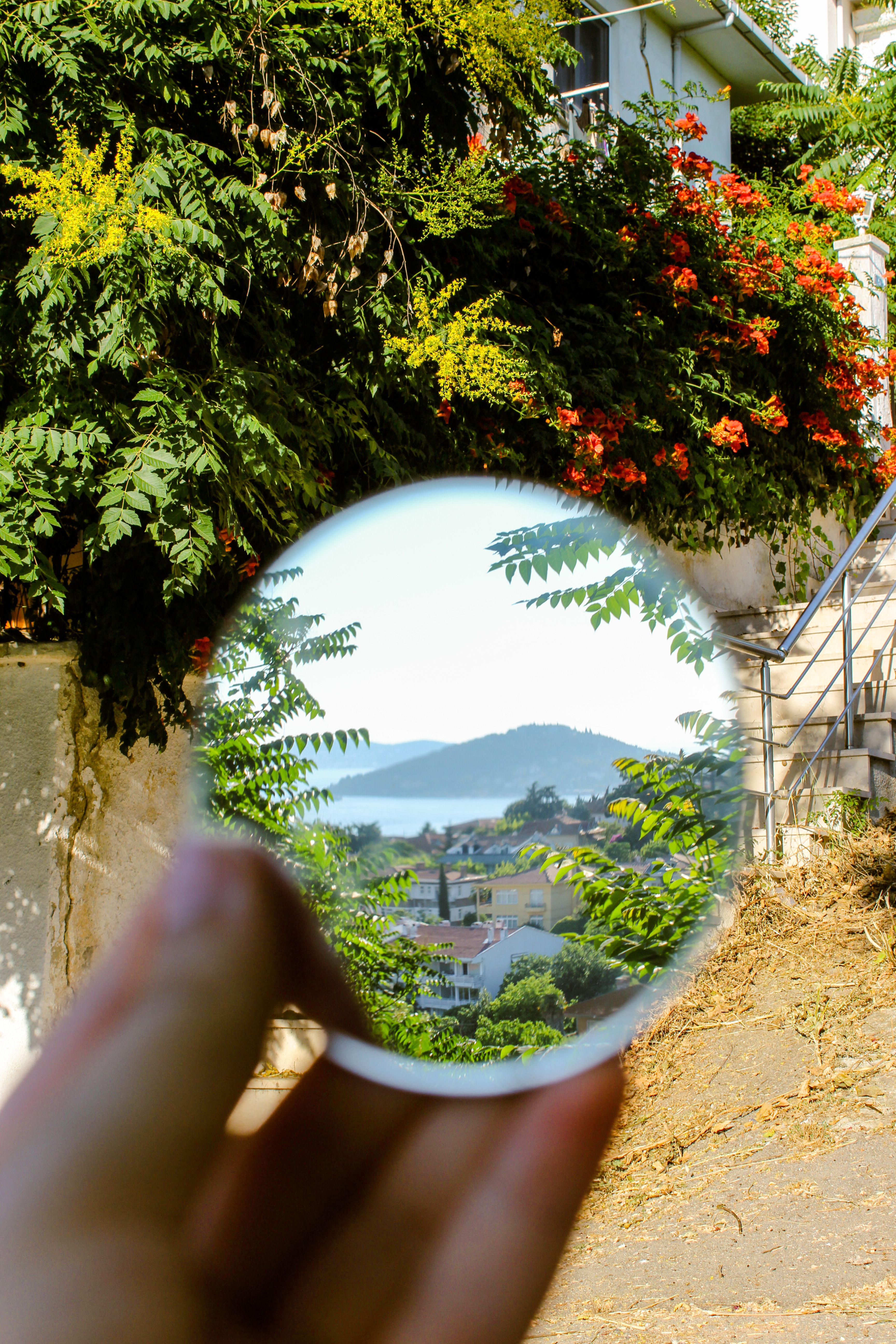 A picturesque landscape viewed through a circular lens among lush foliage.