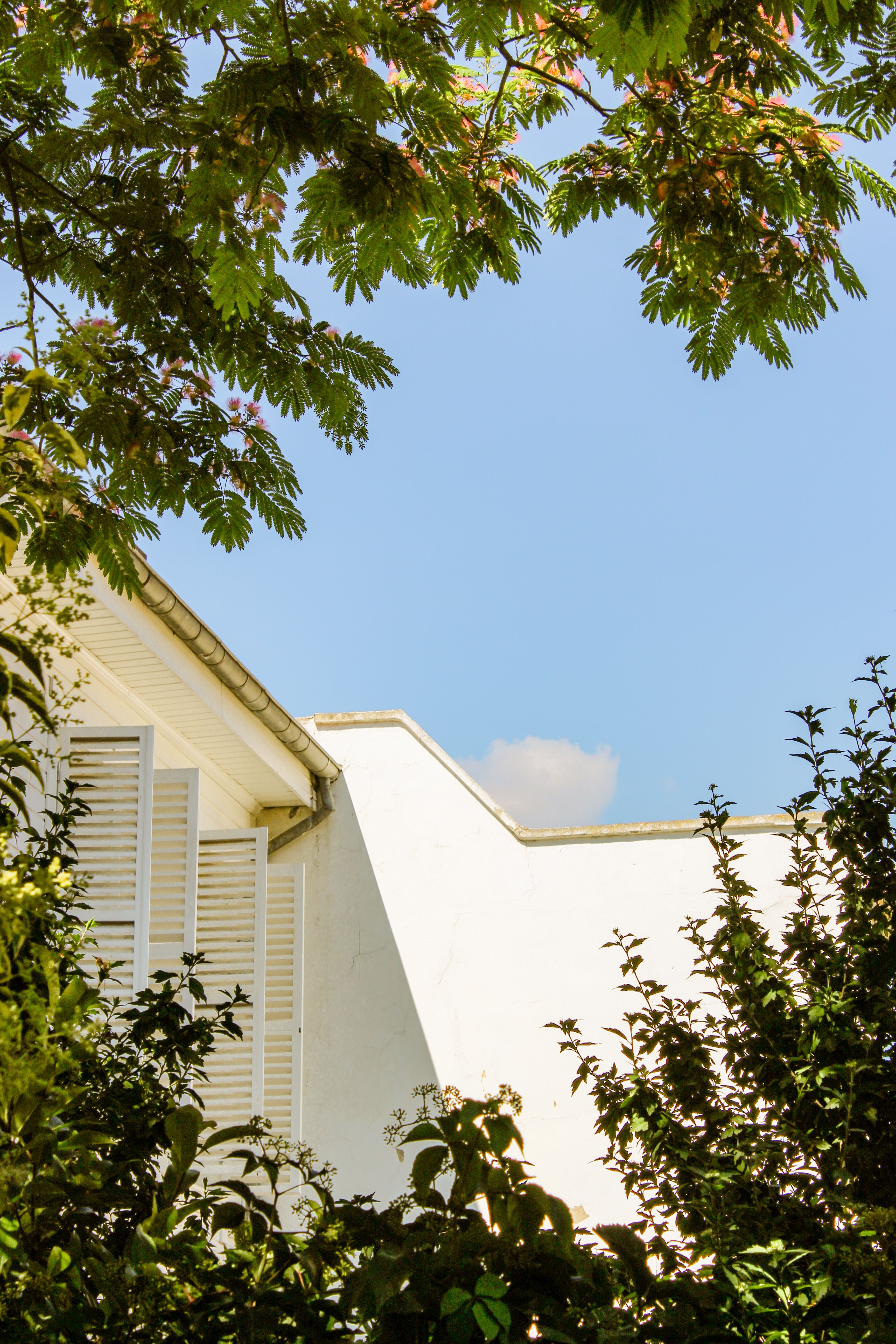 House Building Among Trees · Free Stock Photo