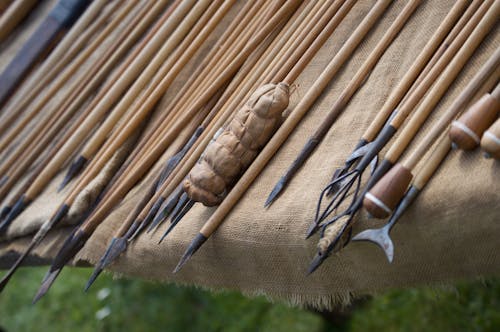 Kostnadsfri bild av bås, Close-Up, spjut