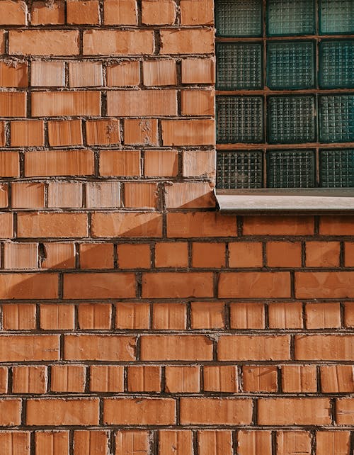 Free Bricks on Wall Stock Photo