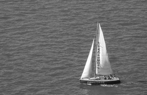 Sailing Sailboat in Black and White