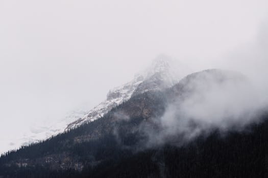 Serene view of mist-covered mountains with pine forest and snowy peaks emerging through thick clouds.