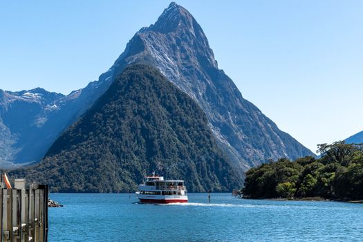 Cruise Milford Sound, New Zealand