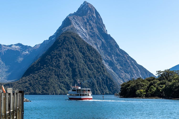 Cruise Milford Sound, New Zealand