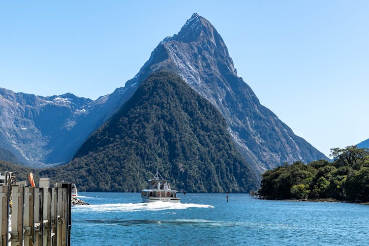 Cruise Milford Sound, New Zealand