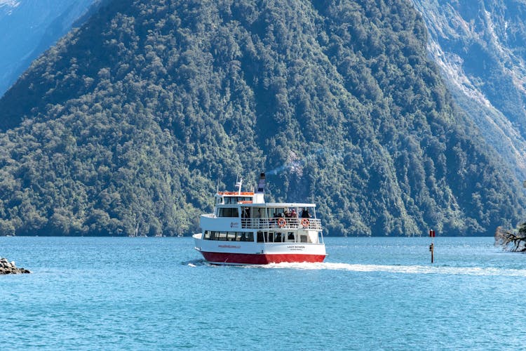 Cruise Milford Sound, New Zealand