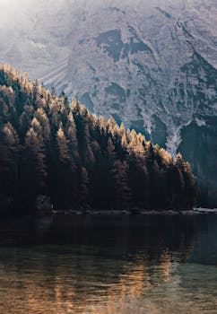 A tranquil mountain lake reflects an autumn forest under majestic peaks.