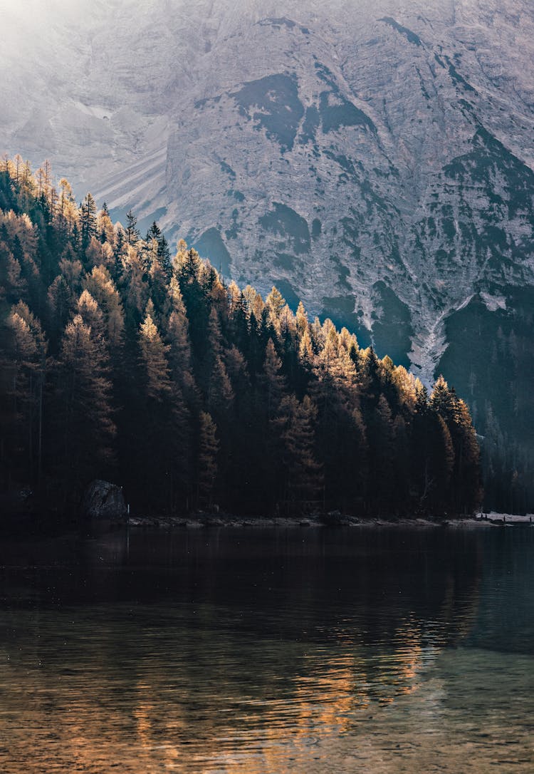 Photo Of Lake Near Forest