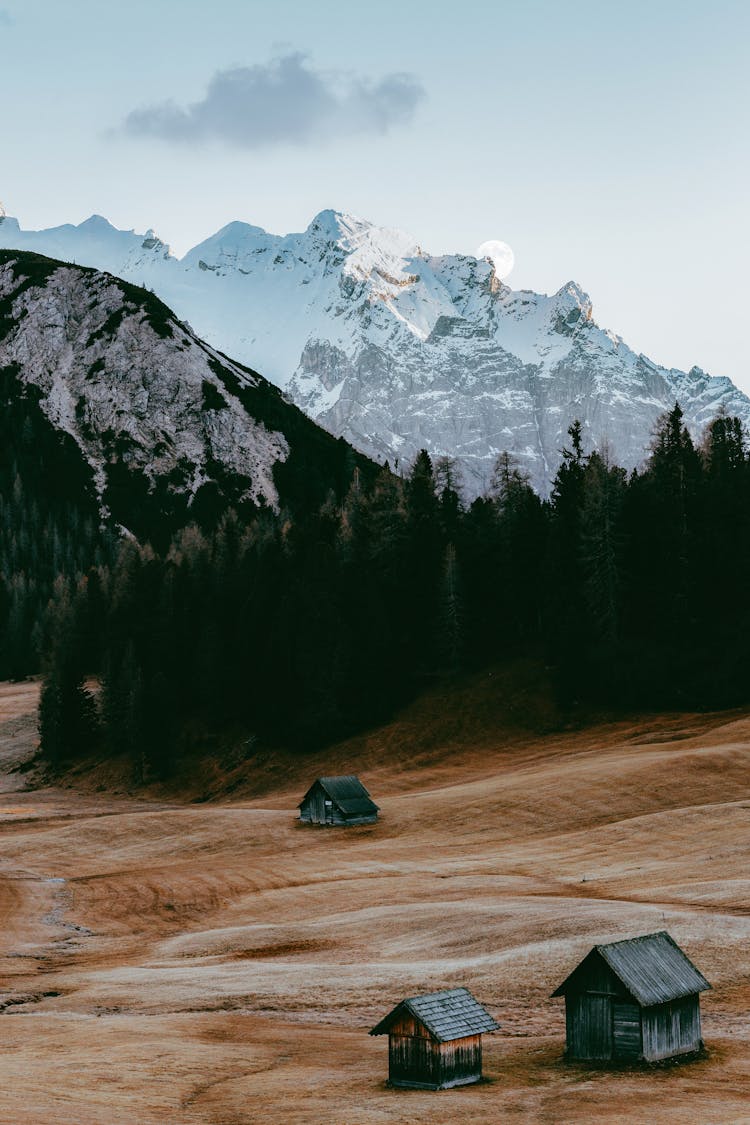 Cabins Near Forest And Mountain Covered With Snow