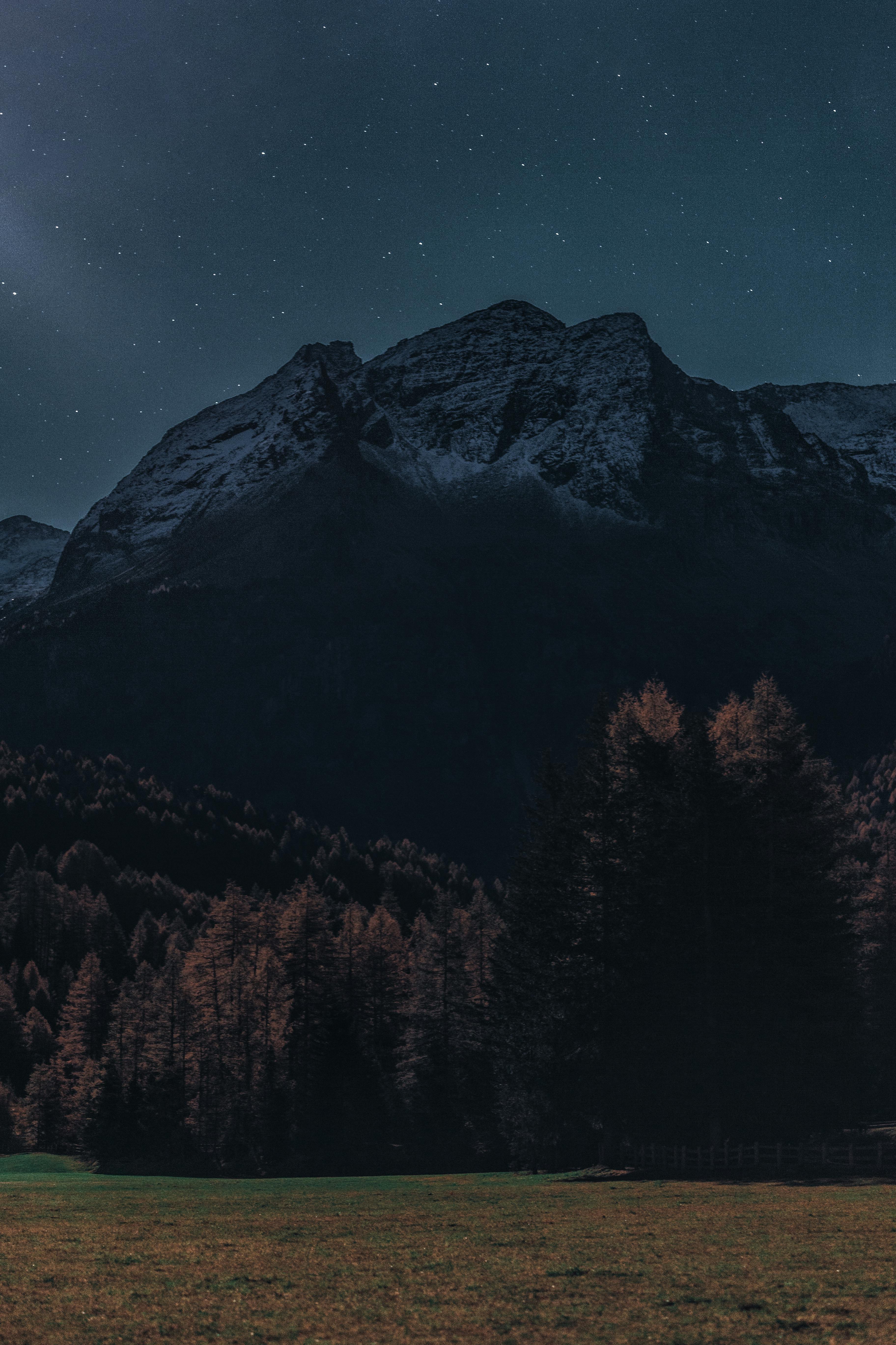 星空下，前景是树木，捕捉风景优美的山地景观