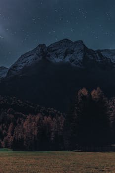 星空下，前景是树木，捕捉风景优美的山地景观