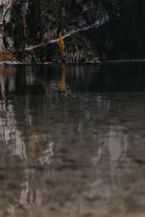 Selective Focus Photo of Lake