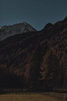 在一个宁静的夜晚，山区和森林下，一片清晰的星空展现了大自然的美丽